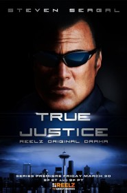 True Justice saison 2 episode 8 en streaming