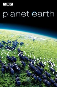 Planète Terre saison 2 episode 3 en streaming